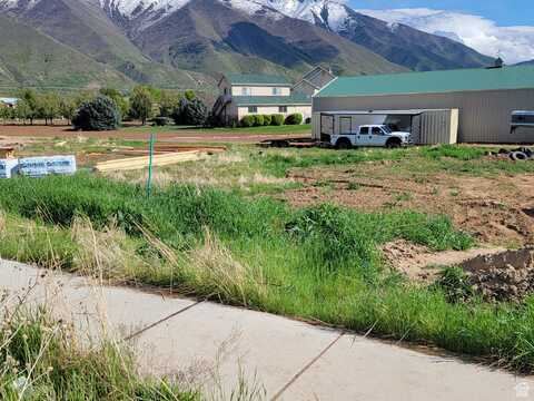161 W 250 S, Mapleton, UT 84664