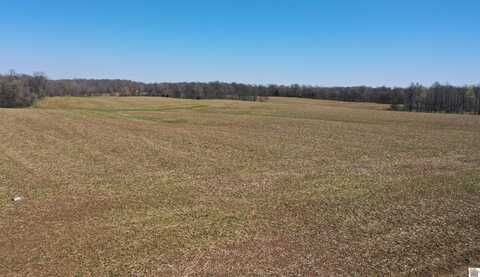 3201 Houser Road, Benton, KY 42025