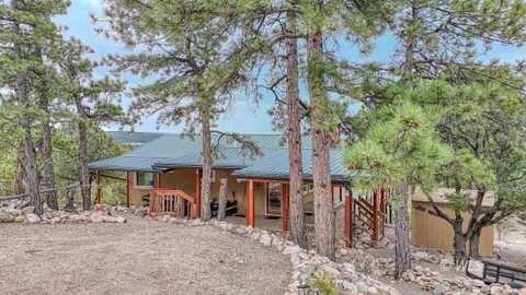 421 Bull Domingo Ln, Westcliffe, CO 81252