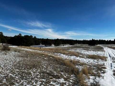 TBD 35th Trail, Cotopaxi, CO 81223