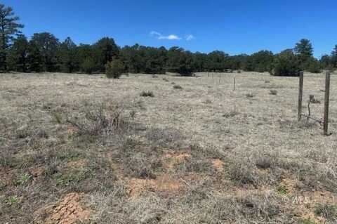 TBD 35th Trail, Cotopaxi, CO 81223