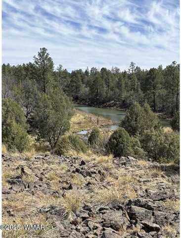 Tbd Show Low Lake area, Show Low, AZ 85901