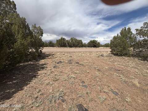 8659 CORONADO Drive, Show Low, AZ 85901