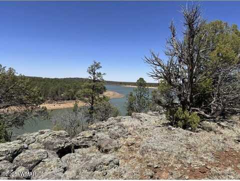 Tbd East side of Show Low Lake, Show Low, AZ 85901