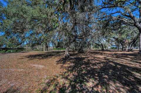 1134 BELLAMARE TRAIL, TRINITY, FL 34655