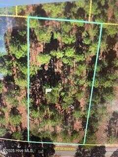 133 Bay Ridge Road, Harrells, NC 28444