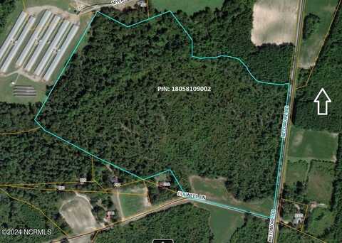 0 Needmore Road, Turkey, NC 28393