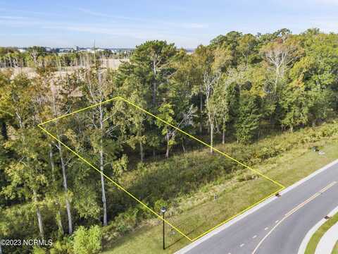 344 Preservation Point Avenue, Wilmington, NC 28401