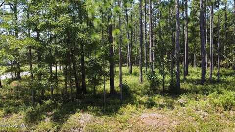 Lots 50-52 Windemere, Southport, NC 28461