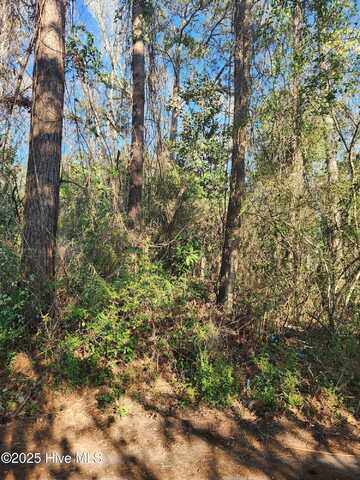 323 Cottonwood Lane, Castle Hayne, NC 28429
