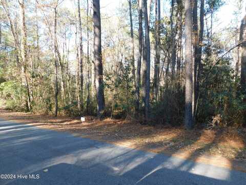 42 Fox Lane, Wagram, NC 28396