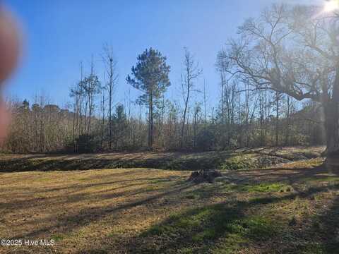 1200 Anderson Road, Willard, NC 28478