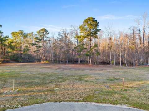 21 Big Creek Circle, Lake Waccamaw, NC 28450