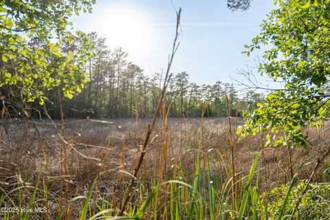 155 Cedar Drive, Oriental, NC 28571