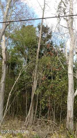 00 Pennsylvania Avenue, Rocky Point, NC 28457