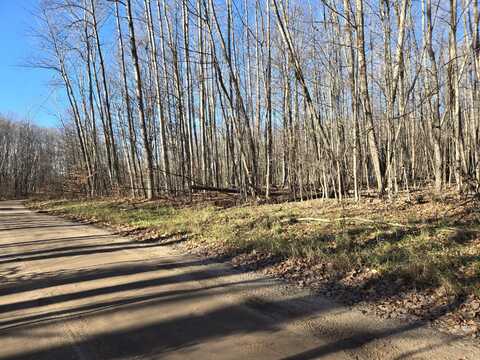 Birch Run Trail, Gaylord, MI 49735