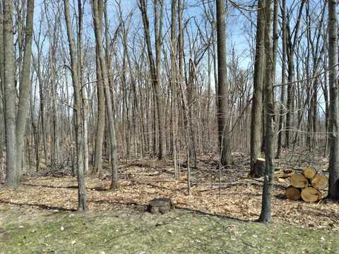 Lot 65 Louise Circle, Elmira, MI 49730