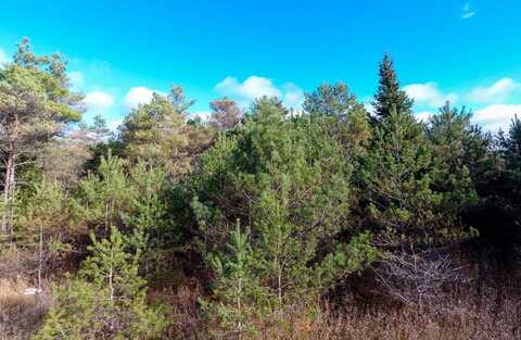 N Black River Road, Cheboygan, MI 49721