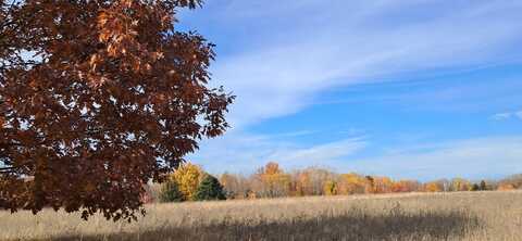 Tbd Mullett View Dr, Cheboygan, MI 49721