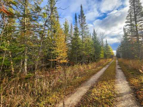 000 Douglas Road, Cheboygan, MI 49721