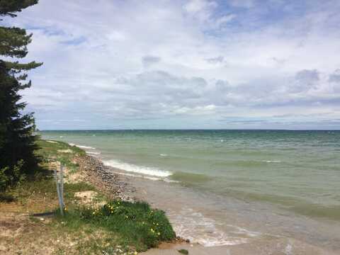 14220 BIRCHALL Court, Cheboygan, MI 49721