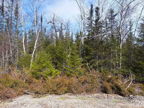 Sylvan Court, Presque Isle, MI 49777