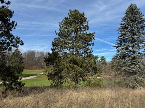 707 Woods Cabin Trail, Gaylord, MI 49735