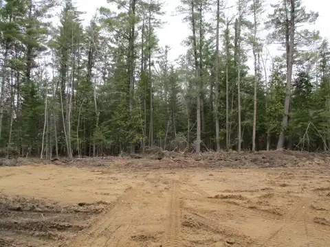 Lots 71-75 Evergreen Drive, Grayling, MI 49738