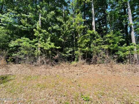 40 Comanche Trail, Hertford, NC 27944