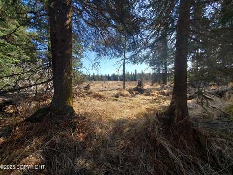 24740 Plumb Lane, Anchor Point, AK 99556