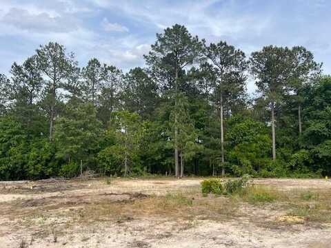 Fyf 3 Fox Young Street, Wagener, SC 29164