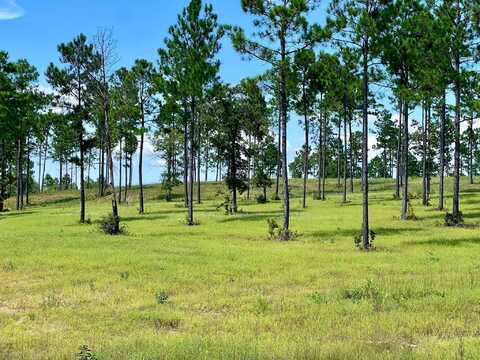 Lot 6 Parque Avenue SE, Aiken, SC 29803