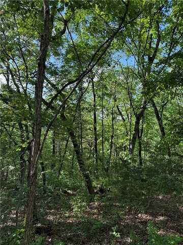 Woodside LN, Holiday Island, AR 72631