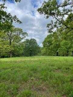 12 S Oakwood TR, Noel, MO 64854