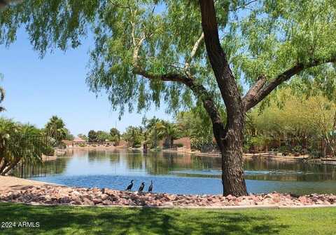 884 E LA COSTA Place, Chandler, AZ 85249