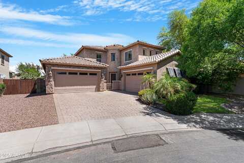 2856 E DESERT BROOM Place, Chandler, AZ 85286