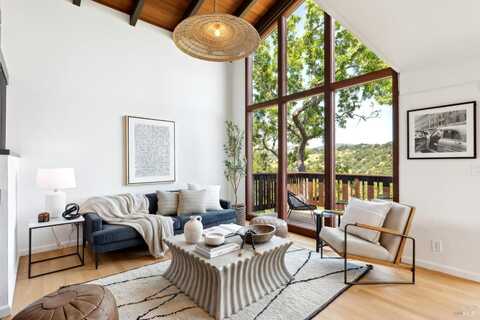 110 Stuyvesant Drive, San Anselmo, CA 94960