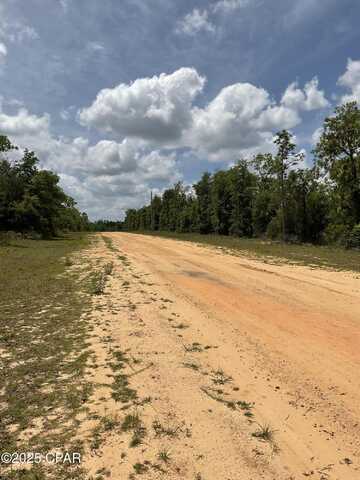 0 Nevada, Alford, FL 32420
