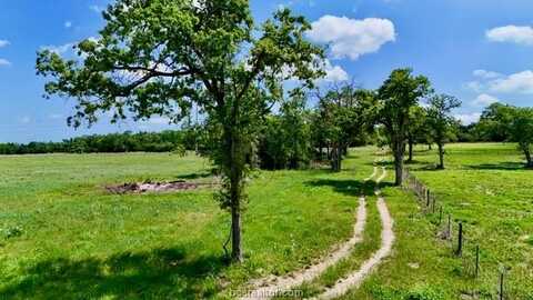 2876 Grant Prairie Rd (+/-75.7 acres), Franklin, TX 77856