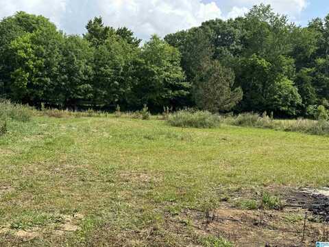 136 DEWEY LANE, ANNISTON, AL 36202