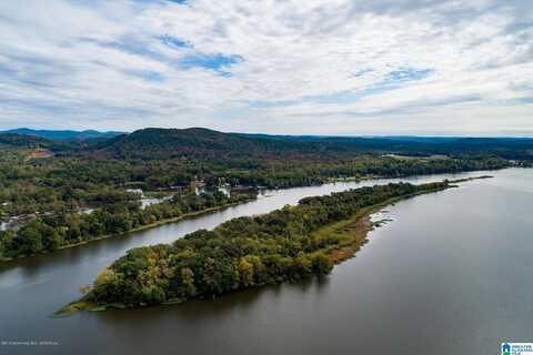 1 FRIENDLY ISLAND, WILSONVILLE, AL 35186