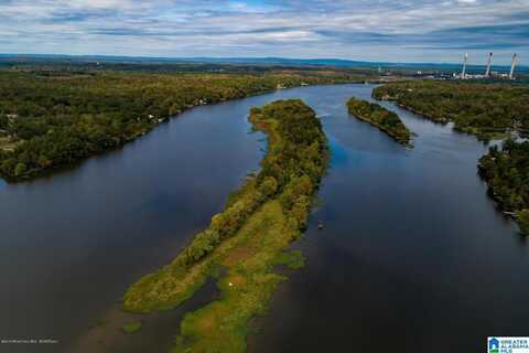 1 FRIENDLY ISLAND, WILSONVILLE, AL 35186