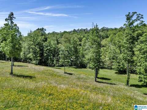 5880 ROCK MOUNTAIN LAKE ROAD, BESSEMER, AL 35022