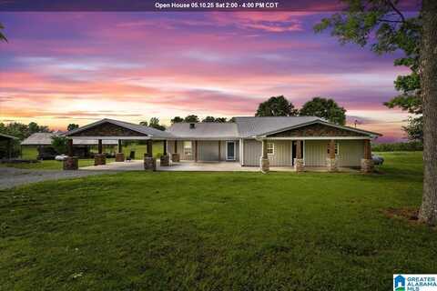 239 GILLILAND ROAD, ONEONTA, AL 35121