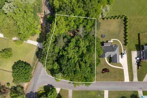 6698 CLAYTON COVE PARKWAY, PINSON, AL 35126