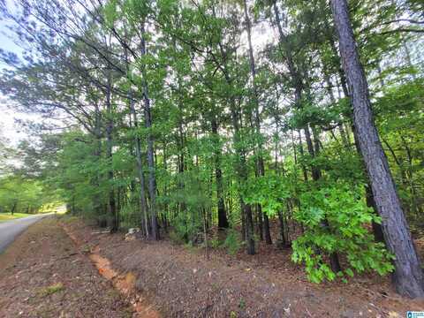 0000 HOWELL COVE ROAD, TALLADEGA, AL 35160