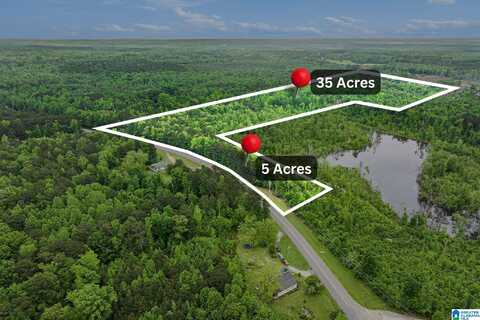 00 AL HIGHWAY 22, ROCKFORD, AL 35136