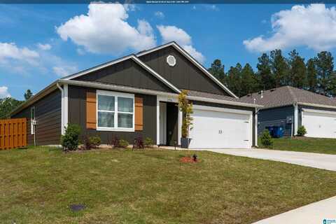 776 FISH CAMP ROAD, CHELSEA, AL 35043