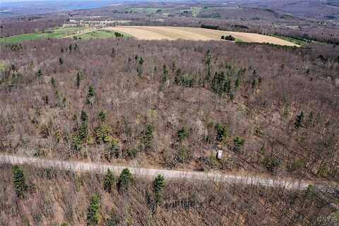 Swartz Road, Springwater, NY 14437