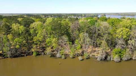 n a lot 6 - Sawdust Ln, Cobb, GA 31735